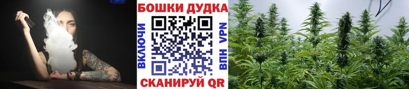 Канабис план  Купить закладки  Верхний Уфалей 